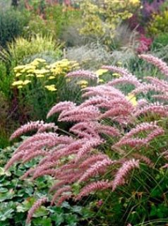 ACID NATURE 乙庭 (Page 5)