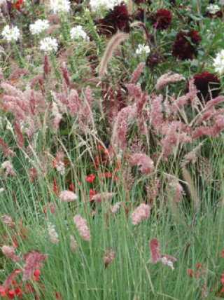 全商品 - ACID NATURE 乙庭 (Page 7)