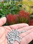 画像2: 乙庭  Fertilizer for Native Plants（リン酸無配合肥料 800g入） (2)