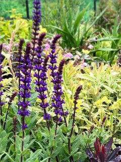 乙苗 - ACID NATURE 乙庭 (Page 6)