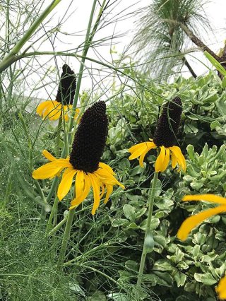 乙苗 - ACID NATURE 乙庭 (Page 4)