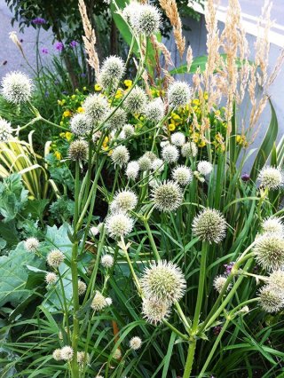 乙苗 - ACID NATURE 乙庭 (Page 3)