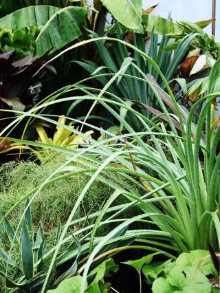 乙苗 - ACID NATURE 乙庭 (Page 3)