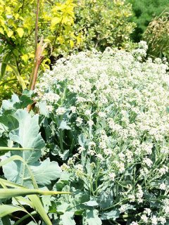 全商品 - ACID NATURE 乙庭 (Page 4)