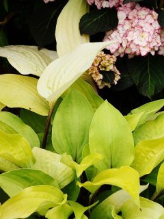 乙苗 - ACID NATURE 乙庭 (Page 5)