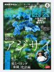 画像1: ＮＨＫ 趣味の園芸 2020年 6月号　(特集掲載号　太田敦雄サイン入り版　追加限定2部) (1)