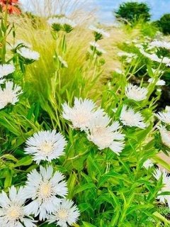 乙苗 - ACID NATURE 乙庭 (Page 6)