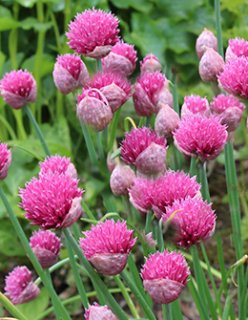 全商品 - ACID NATURE 乙庭 (Page 4)