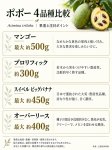 画像2: アシミナ　トリロバ　(＝ポポー)　プロリフィック (2)