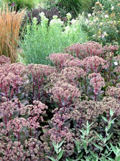 乙苗 - ACID NATURE 乙庭 (Page 6)